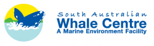 South Australian Whale Centre - Accommodation NT