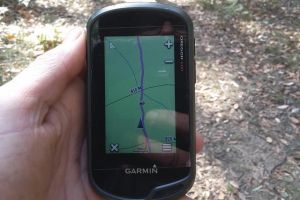 GPS guided walks in the Daylesford Forest - Accommodation NT
