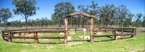 Old Injune Cemetery - Accommodation NT