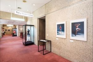 Tony Gould Gallery - Accommodation NT