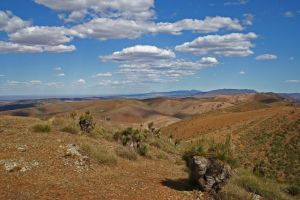 Arden Hills 4WD Track - Accommodation NT