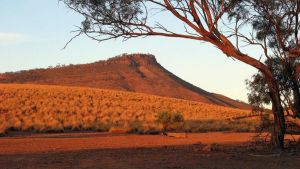 Dutchman Stern Conservation Park Trail - Accommodation NT